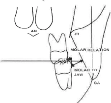 Manual Illustration
